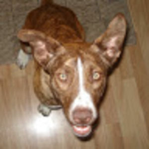 Meet your Posher, Christine